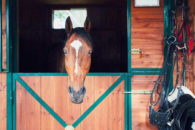 horse barn contractor